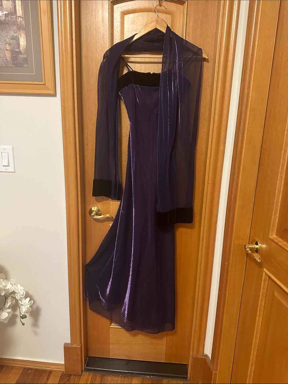 Elegant Evening Gown with Sheer Overlay size 6 - Picture 2 of 4